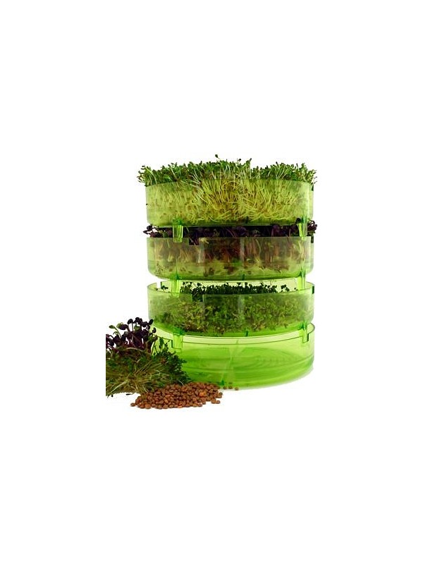 BPA free sprouter GEO