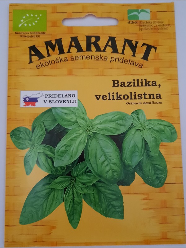 Basil A foglia di Lattuga