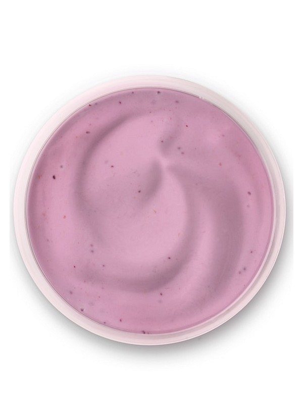 EKO SADNI JOGURT (borovnica)