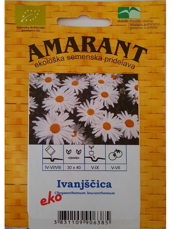 EKO SEME IVANJŠČICA Chrysanthemum leucanthemum
