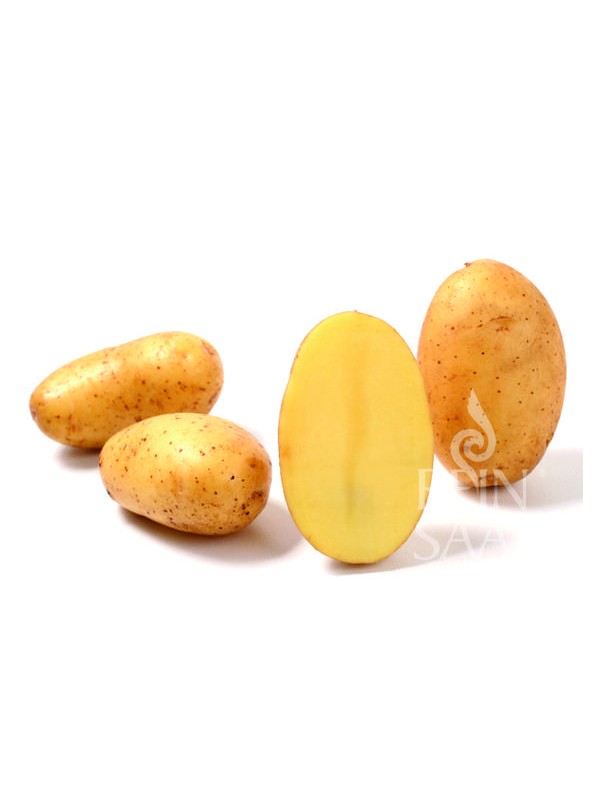 EKO SEMENSKI KROMPIR ANABELLE