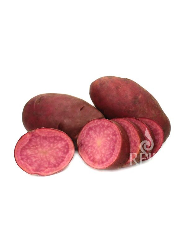 EKO SEMENSKI KROMPIR HEIDEROT