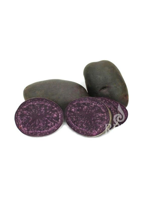 EKO SEMENSKI KROMPIR BLAUE ANNELIESE