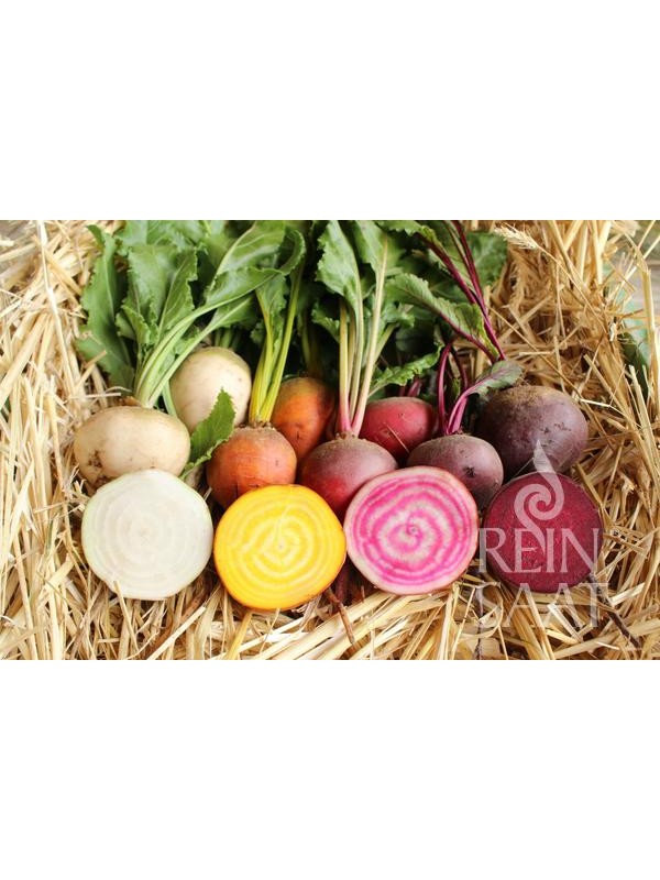 EKO SEME MEŠANICA RDEČIH PES