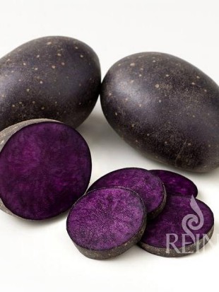 KROMPIR EKO SEMENSKI PURPLE RAIN