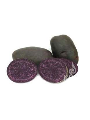 EKO SEMENSKI KROMPIR BLAUE ANNELIESE