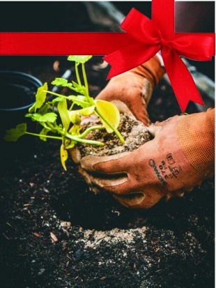 OSNOVNO ČLANSTVO - darilni bon