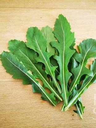 EKO SEME RUKOLA WASABI