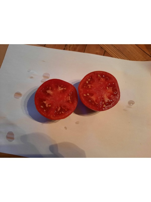Tomato Novosadski jabučar
