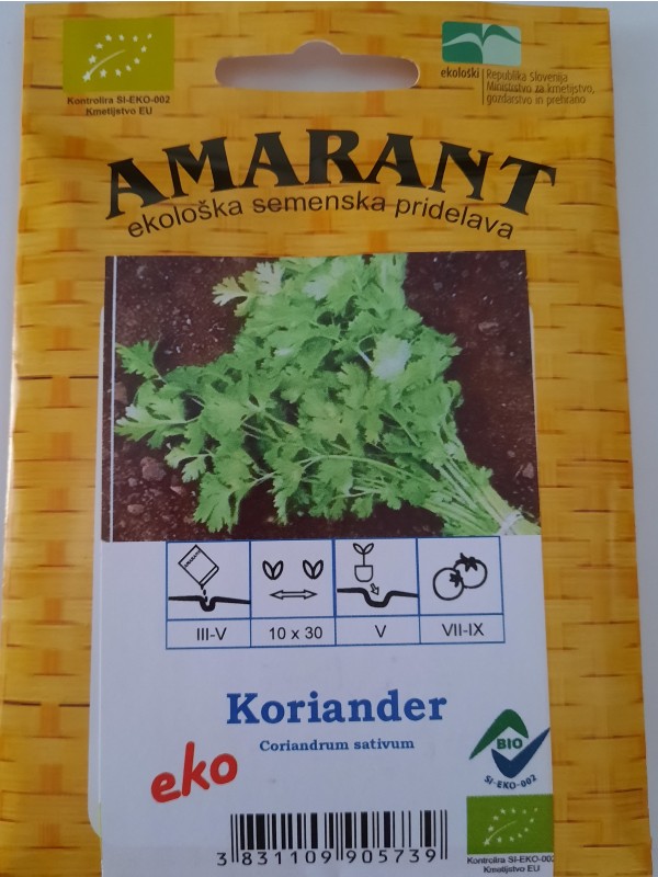 Coriander