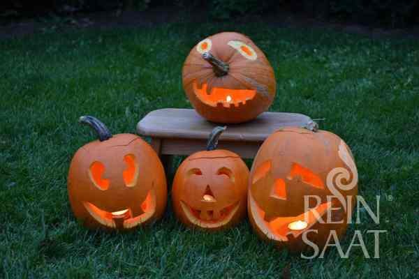 Jack O'Lantern squash