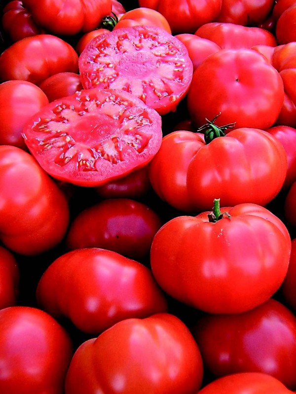 Tomato Marmande