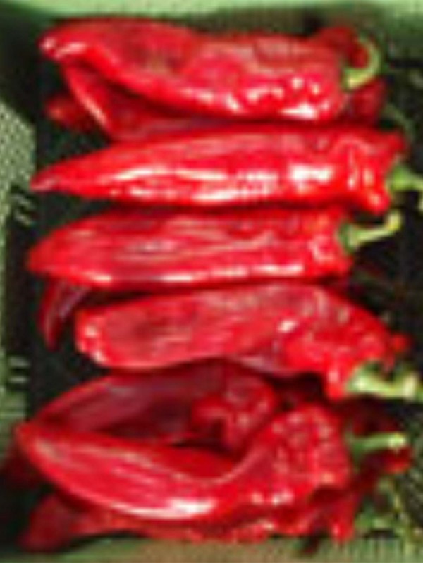 Pepper Sweet palena