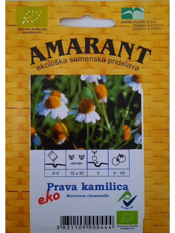 German Camomile