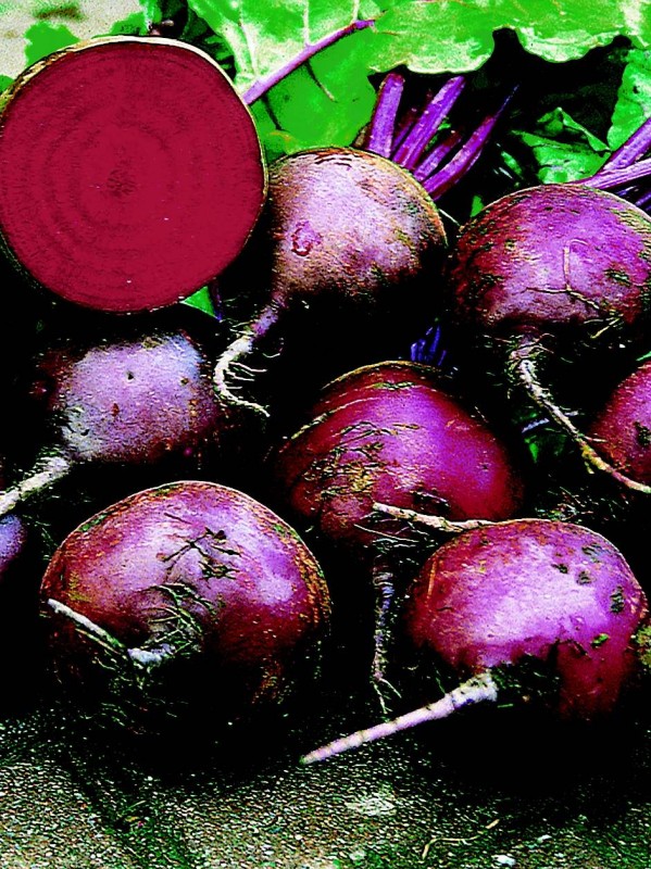 Beetroot Detroit