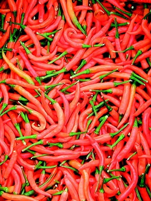 Chilli Lanterna de Foc