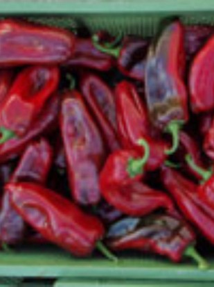 Pepper Corno rosso
