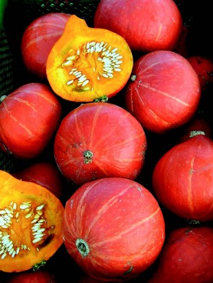 Red kuri squash