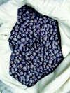 French bean Forellenbohne