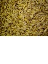 Organic barleygrass seeds