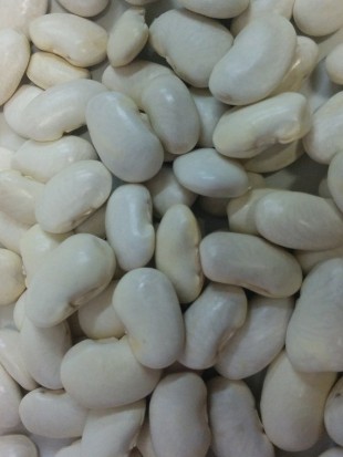 Runner bean Breginc