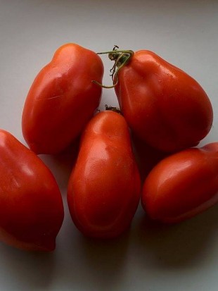 Tomato San Marzano Nano