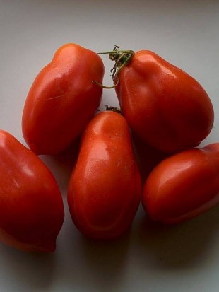 Tomato San marzano 2