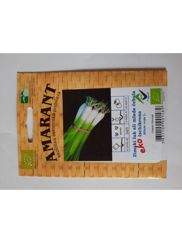 Spring onion Ischikrona