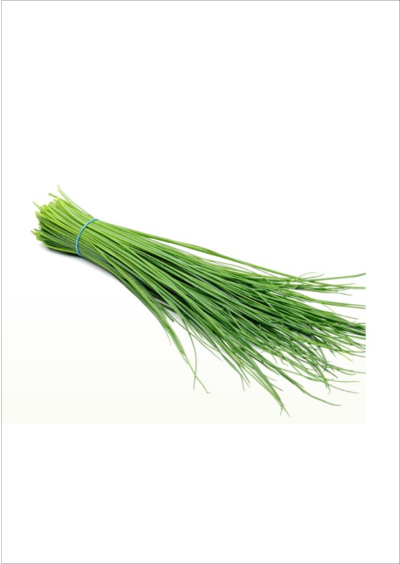 Garlic Chive