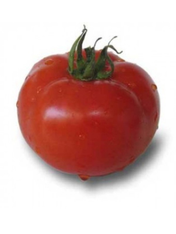 Tomato Novosadski jabučar