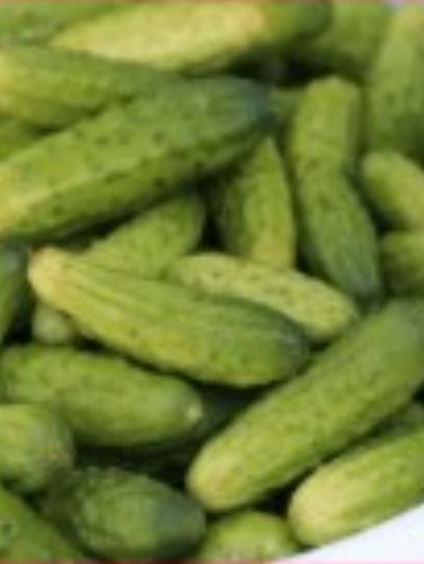 Pickles Vert Petit de Paris