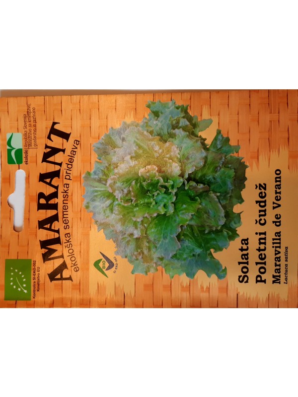 Lettuce Maravilla de Verano (wonder of summer)