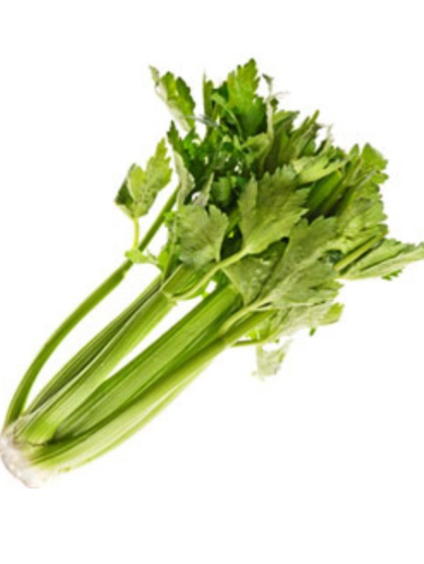 Celery Tall Utah (stalk)